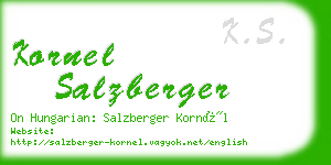 kornel salzberger business card